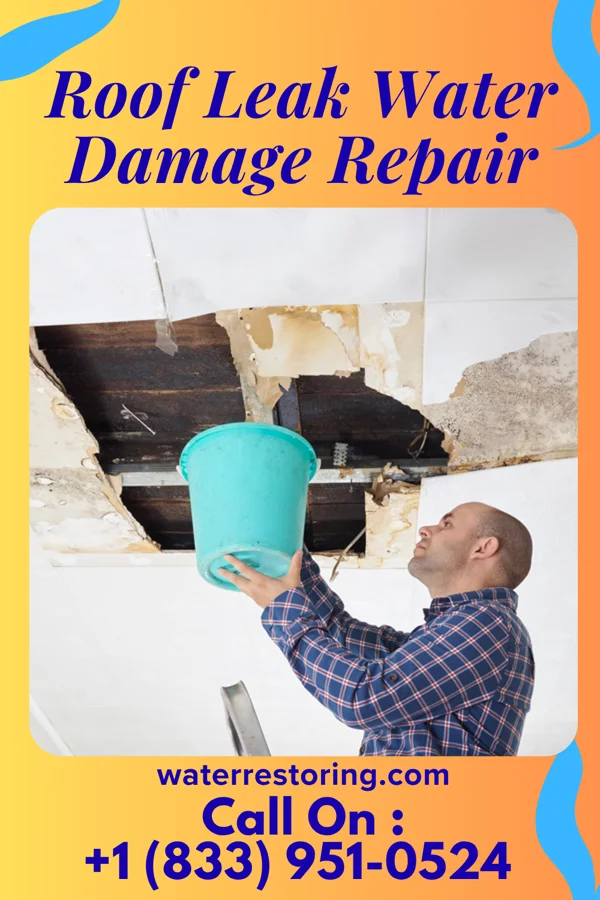 Roof Leak Water Damage Repair in Normandy, TX